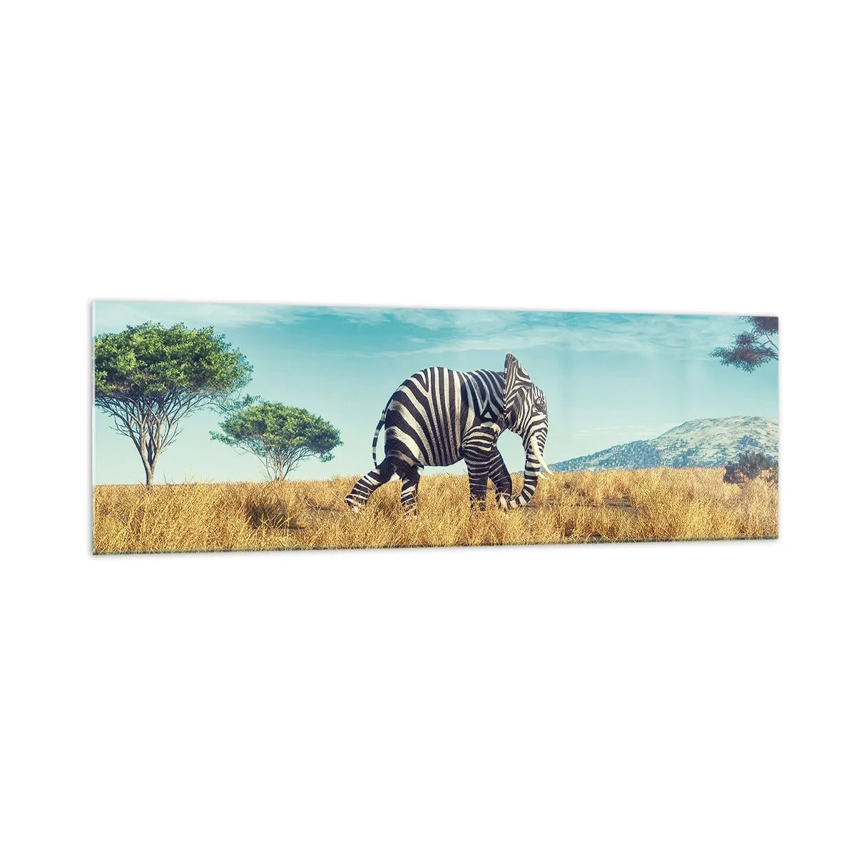 Quadro su vetro - Zebra in un paesaggio africano - 160x50cm - Il grigio non è più di moda - Decorazione murale moderna per soggiorno e camera da letto ARTTOR