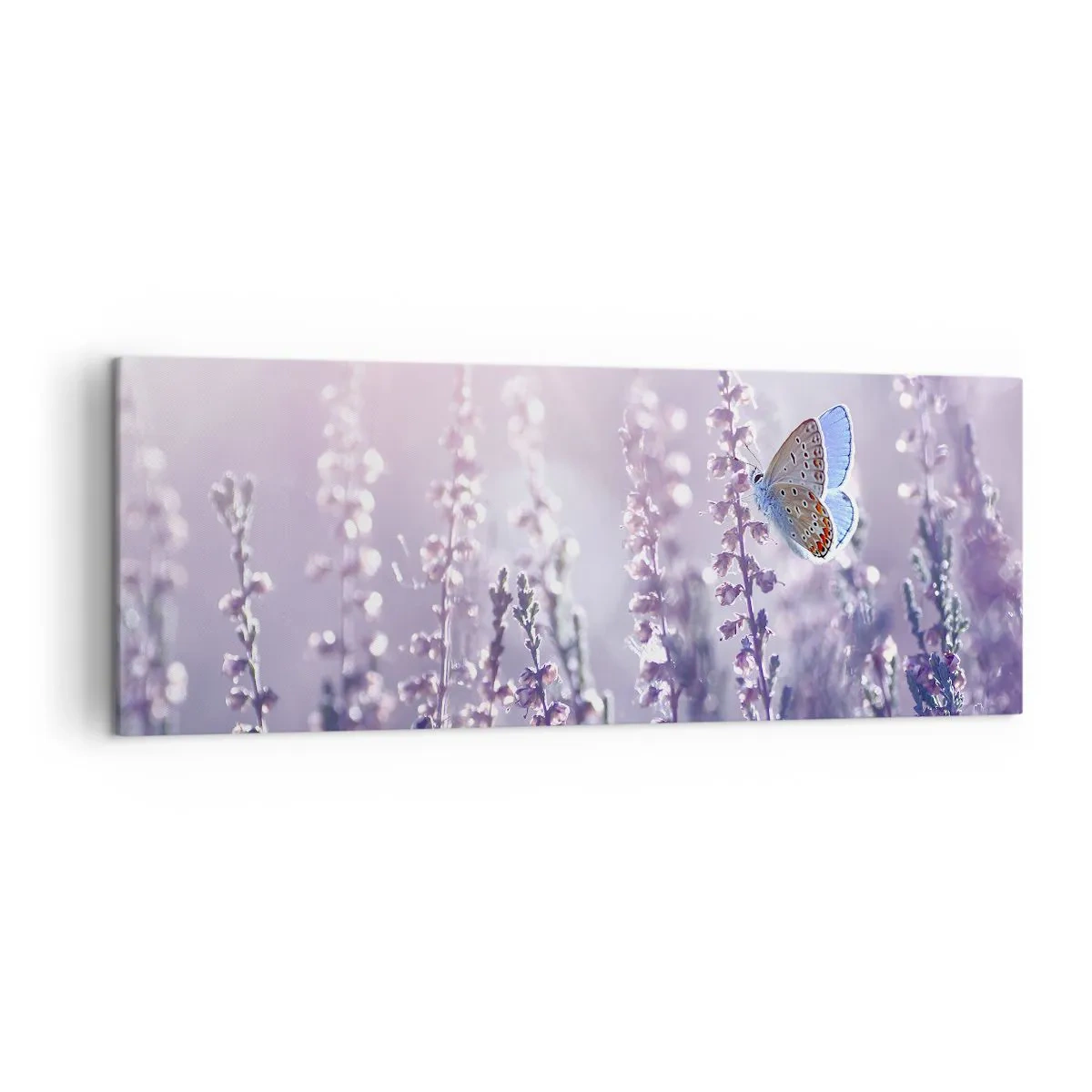 Quadro su tela - Stampe su Tela - Una farfalla sulla lavanda in fiore nella luce del mattino - 140x50cm - Il bacio della farfalla - Decorazione murale moderna per soggiorno e camera da letto ARTTOR