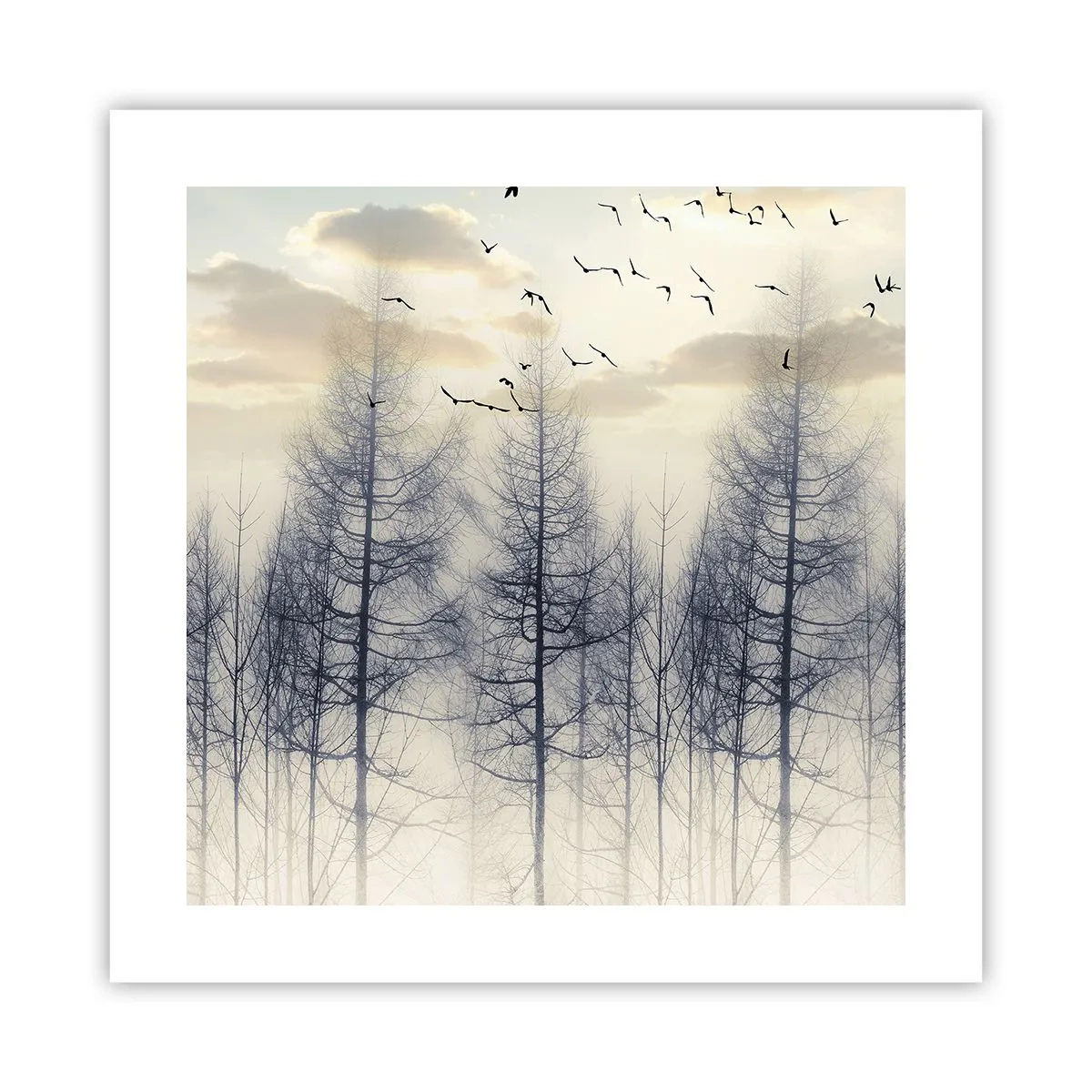 Poster - Lo spirito della foresta - 40x40 cm