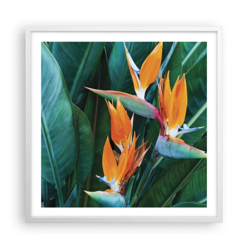 Poster in cornice bianca - È un fiore o un uccello? - 60x60 cm