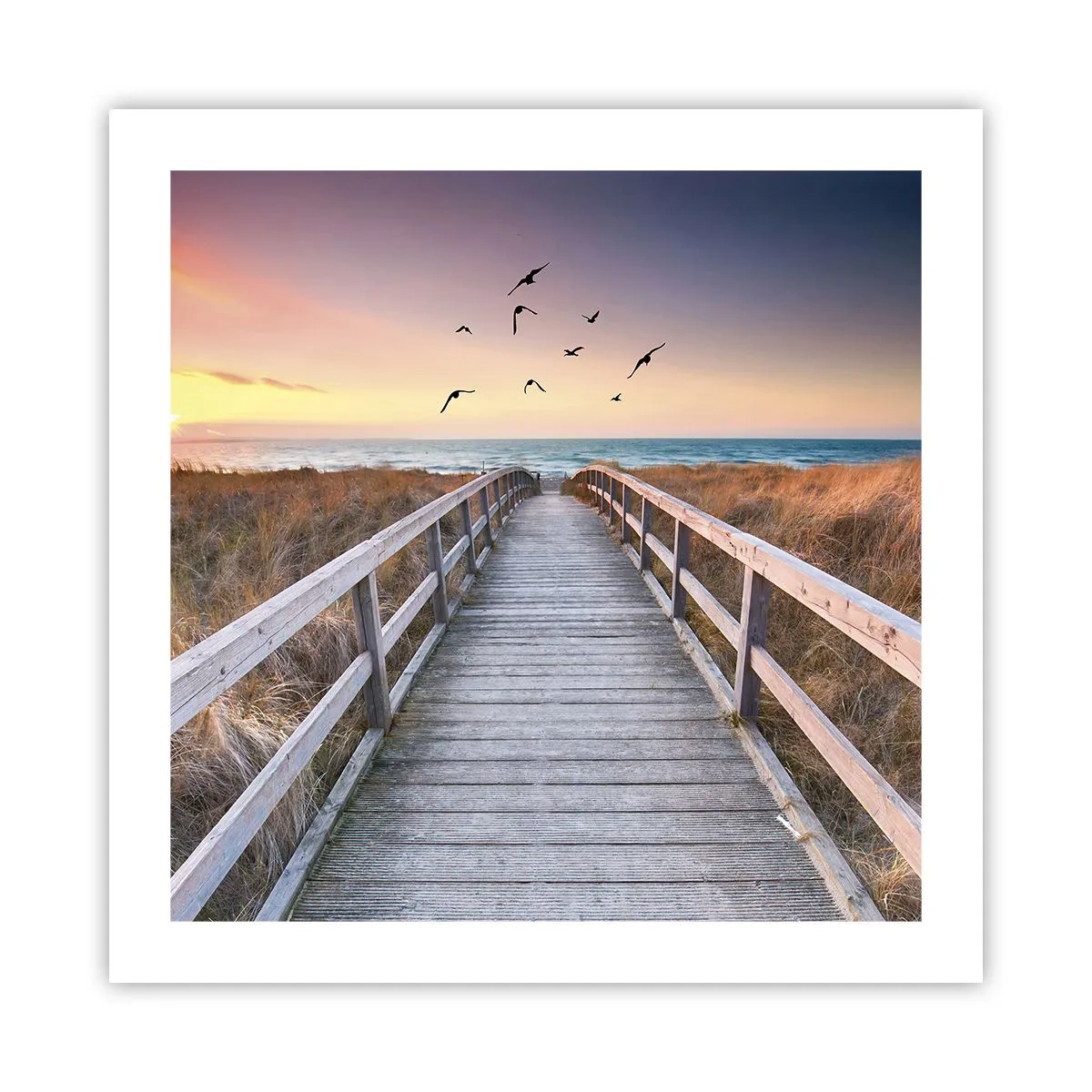 Poster - Spazio per volare - 50x50 cm