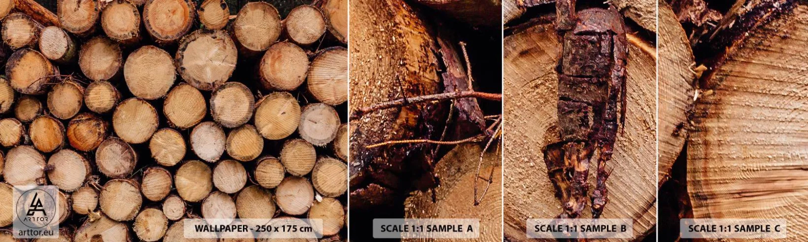 Campione Di Fotomurale Standard Eco - Nuovo inizio - Legna, Tronchi di legno, Natura - 100x30 cm