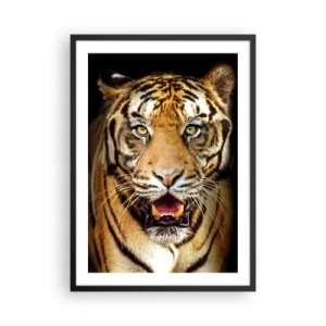 Poster in cornice nera - Ritratto di una tigre su sfondo nero - 50x70cm - Cuore selvatico - Decorazione murale moderna per soggiorno e camera da letto ARTTOR