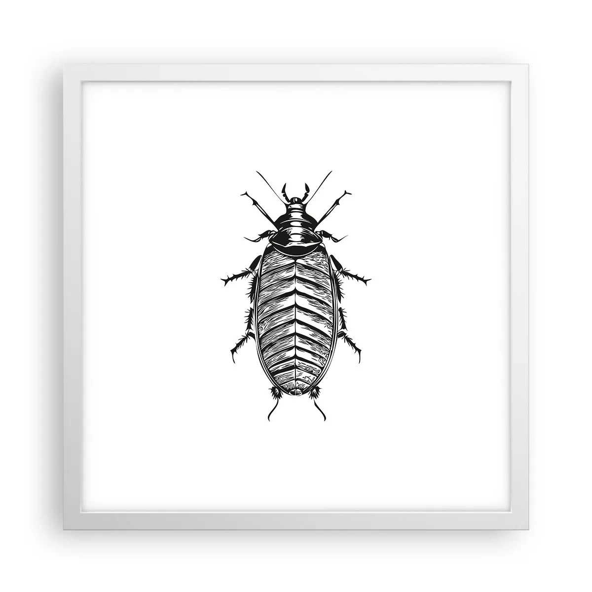 Poster in cornice bianca - Che esemplare! - 40x40 cm