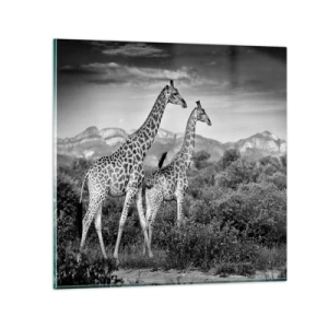 Quadro su vetro - Alta classe in Africa - 50x50 cm