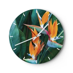 Orologio da parete - Orologio in Vetro - Fiori esotici di strelitzia su uno sfondo di foglie verdi - 30x30cm - È un fiore o un uccello? - Decorazione murale moderna per soggiorno, cucina e camera da letto ARTTOR