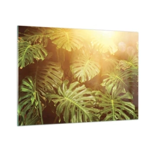 Quadro su vetro - Foglie verdi di monstera nella luce dorata del sole tropicale - 100x70cm - Entrando nel verde... - Decorazione murale moderna per soggiorno e camera da letto ARTTOR