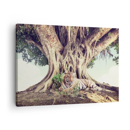 Quadro su tela - Stampe su Tela - Una tigre che riposa sotto un albero che si estende - 70x50cm - Vista dal Libro della Genesi - Decorazione murale moderna per soggiorno e camera da letto ARTTOR