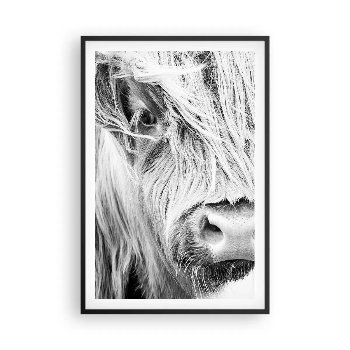 Poster in cornice nera - Selvaticità scozzese - 61x91 cm