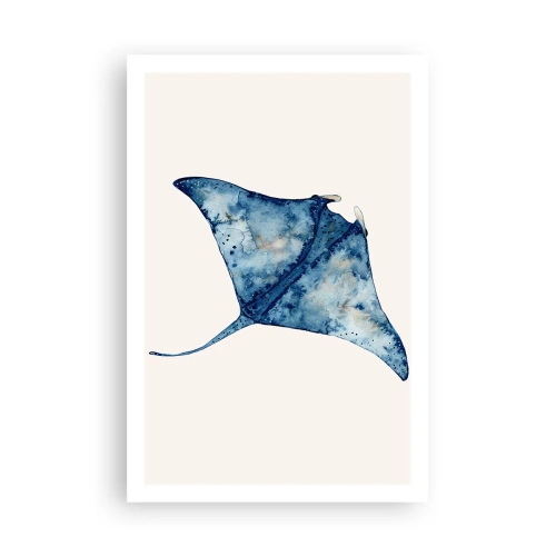 Poster - Vita nel blu - 61x91 cm