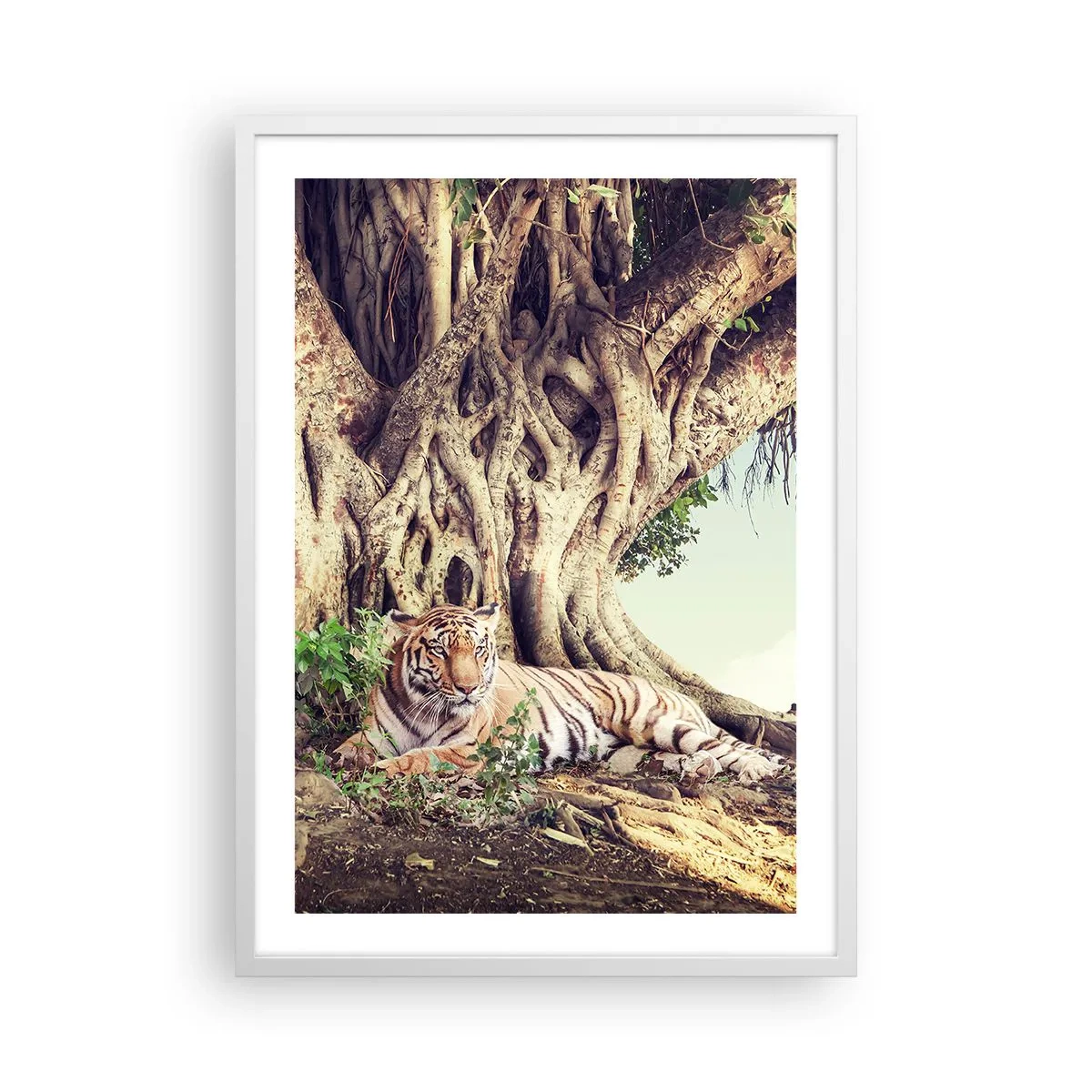 Poster in cornice bianca - Vista dal Libro della Genesi - 50x70 cm