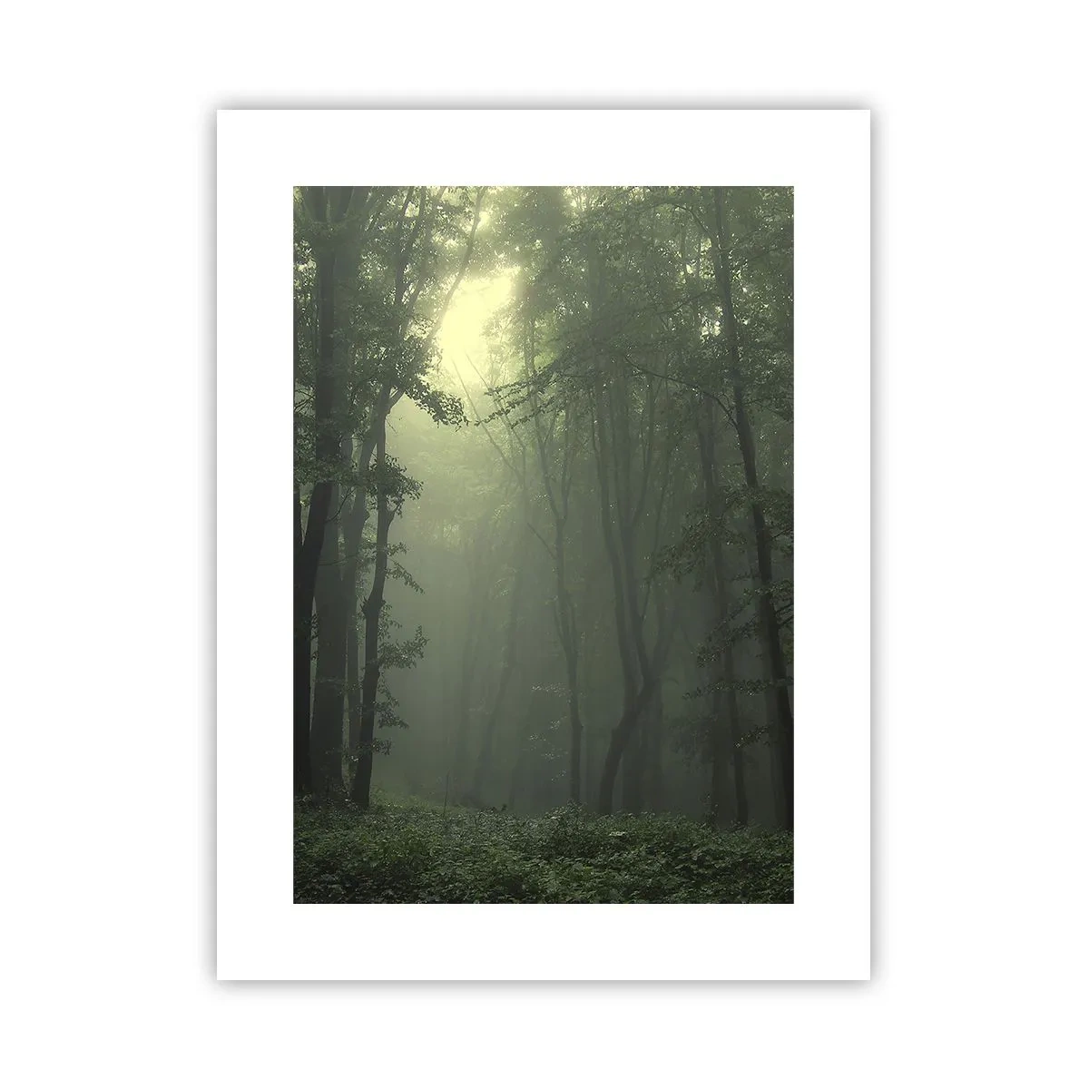 Poster - Prima che si svegli - 30x40 cm
