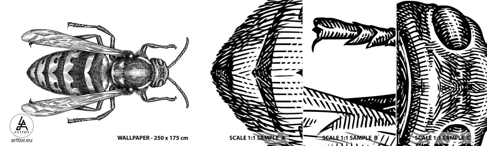 Campione Di Fotomurale Standard Eco - Dal pianeta degli insetti - Vespa, Insetto, Minimalista - 100x30 cm
