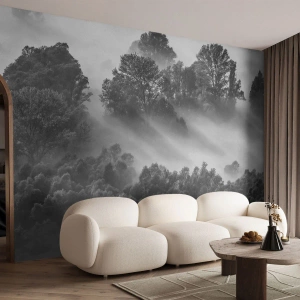 Fotomurali Premium Sand - Una foresta bianca e nera avvolta nella nebbia con raggi di luce - 100x70cm - Risveglio dal sonno - Decorazione murale moderna per soggiorno e camera da letto ARTTOR