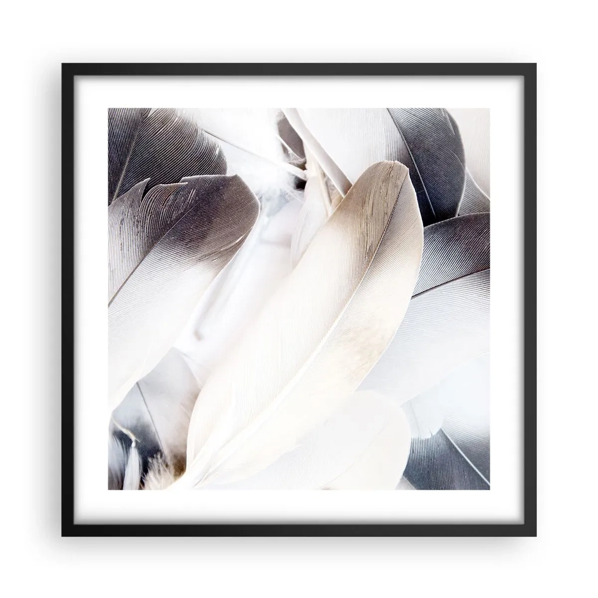 Poster in cornice nera - Quasi angeliche - 50x50 cm