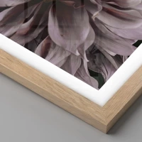 Rovere chiaro