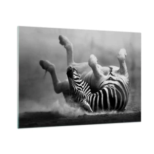 Quadro su vetro - Una zebra sdraiata nella savana africana - 100x70cm - Morire dal ridere - Decorazione murale moderna per soggiorno e camera da letto ARTTOR