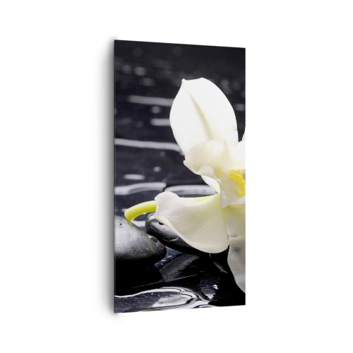 Quadro su tela - Stampe su Tela - Studio in bianco e nero - 65x120 cm