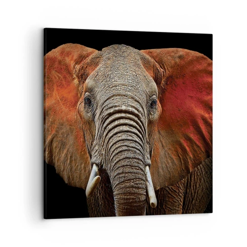 Quadro su tela - Stampe su Tela - Sono selvaggio e tu? - 50x50 cm