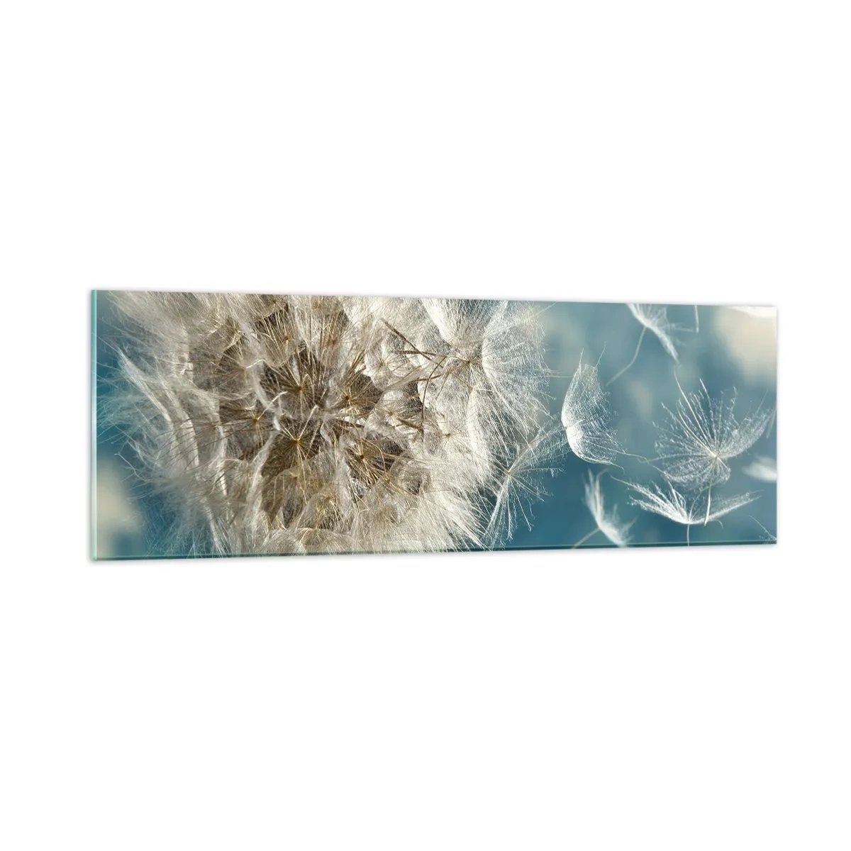Quadro su vetro - Il respiro dell'angelo - 90x30 cm