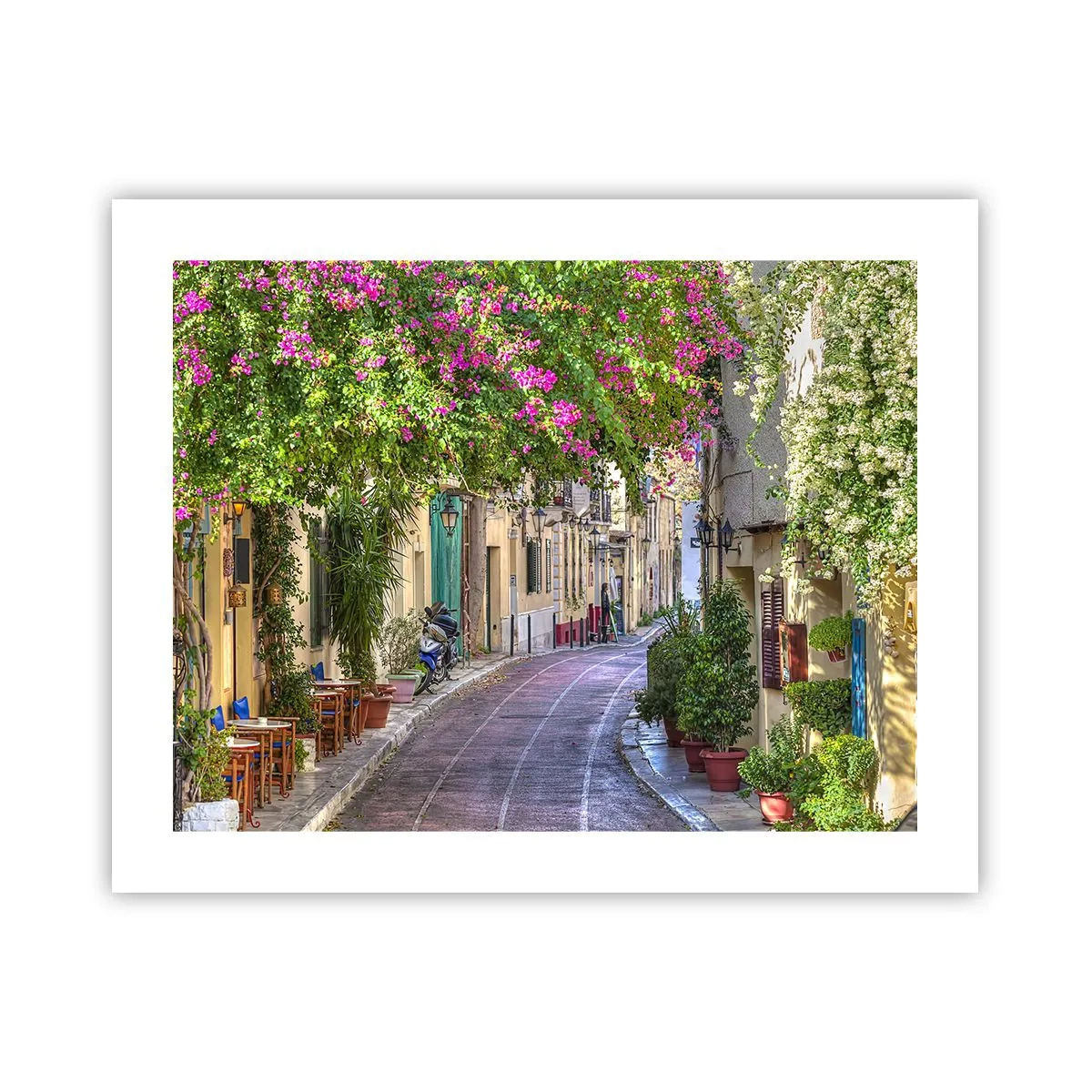 Poster - Angolo fiorito - 50x40 cm