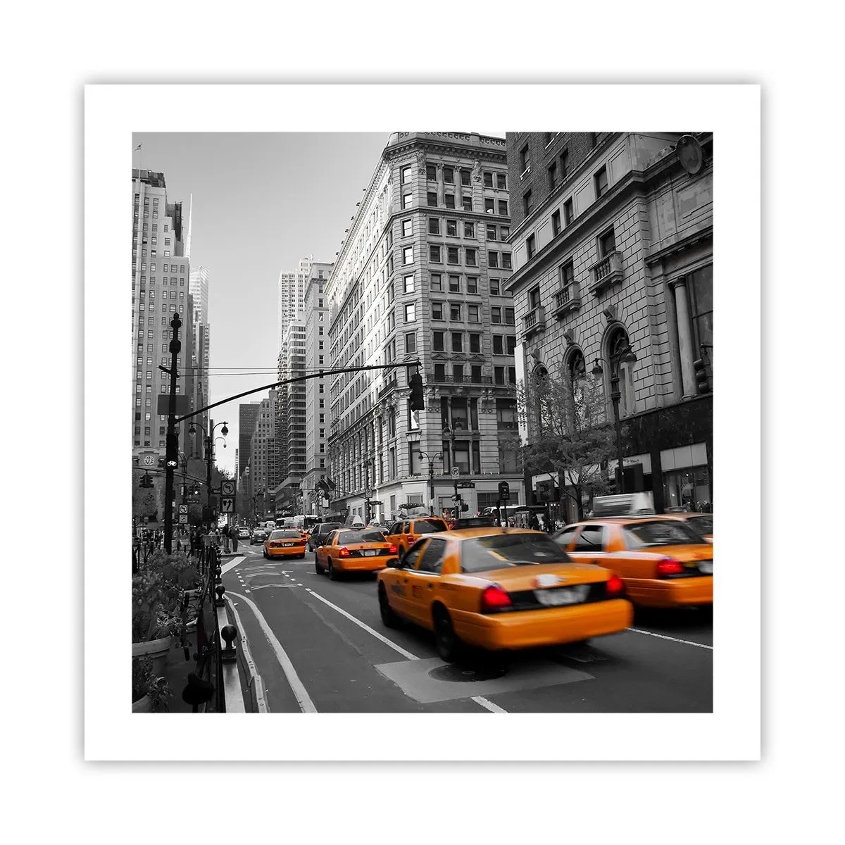 Poster - Il sole della grande città - 50x50 cm