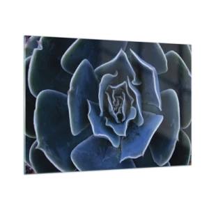 Quadro su vetro - Macrofotografia di una succulenta nelle tonalità del blu freddo - 100x70cm - Fiore del deserto - Decorazione murale moderna per soggiorno e camera da letto ARTTOR