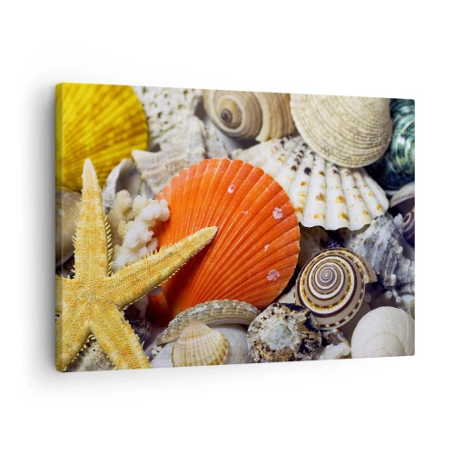 Quadro su tela - Stampe su Tela - Conchiglie e stelle marine in una composizione marina - 70x50cm - Tesori dell'oceano - Decorazione murale moderna per soggiorno e camera da letto ARTTOR