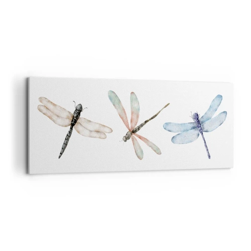Quadro su tela - Stampe su Tela - Tre libellule dai delicati colori pastello - 120x50cm - Libellule senza peso - Decorazione murale moderna per soggiorno e camera da letto ARTTOR
