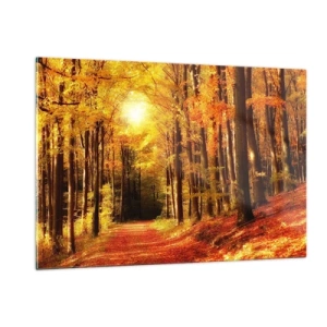 Quadro su vetro - Foresta autunnale immersa nella luce dorata del sole - 120x80cm - Autunno dorato nella via nel bosco - Decorazione murale moderna per soggiorno e camera da letto ARTTOR