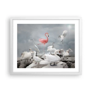 Poster in cornice bianca - Come sono arrivato qui? - 50x40 cm