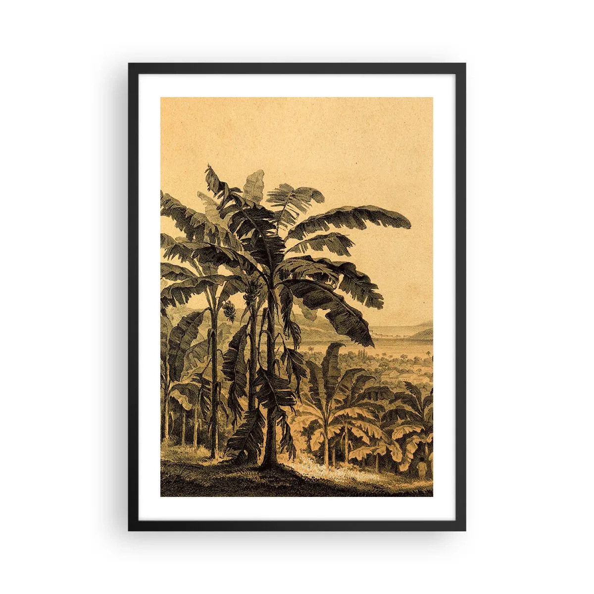 Poster in cornice nera - Illustrazione di palme su uno sfondo di paesaggio tropicale - 50x70cm - Nel clima coloniale - Decorazione murale moderna per soggiorno e camera da letto ARTTOR