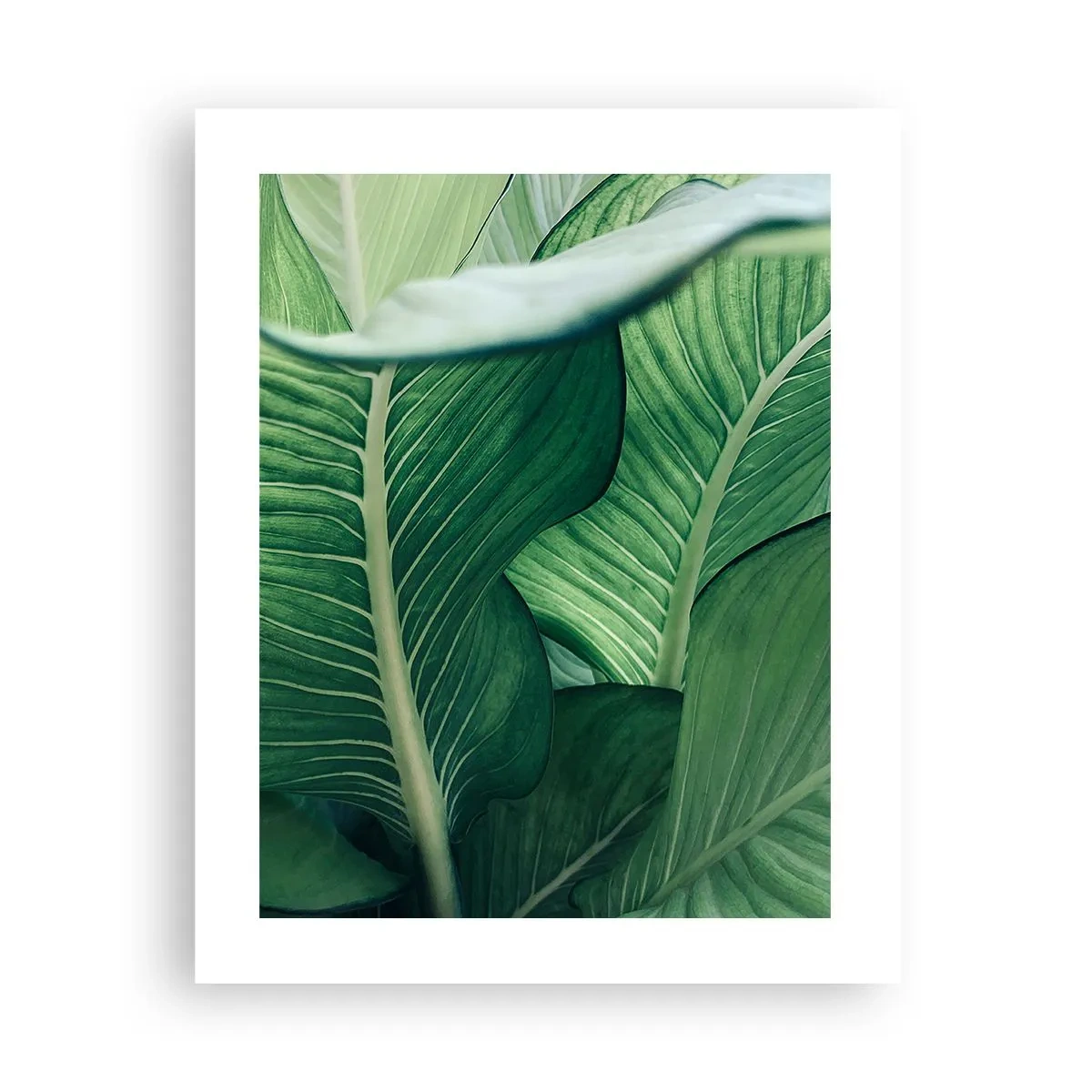 Poster - Una vita intensamente verde - 40x50 cm