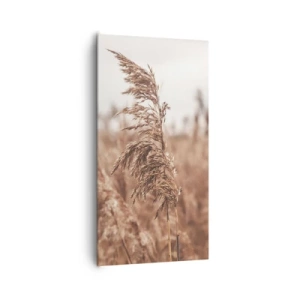 Quadro su tela - Stampe su Tela - Nei campi è già autunno - 65x120 cm