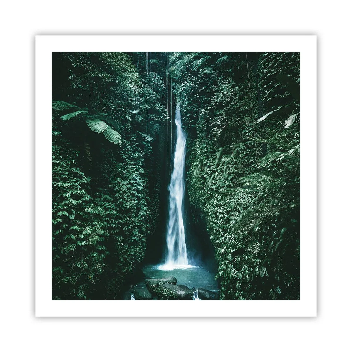 Poster - Terme tropicali - 60x60 cm