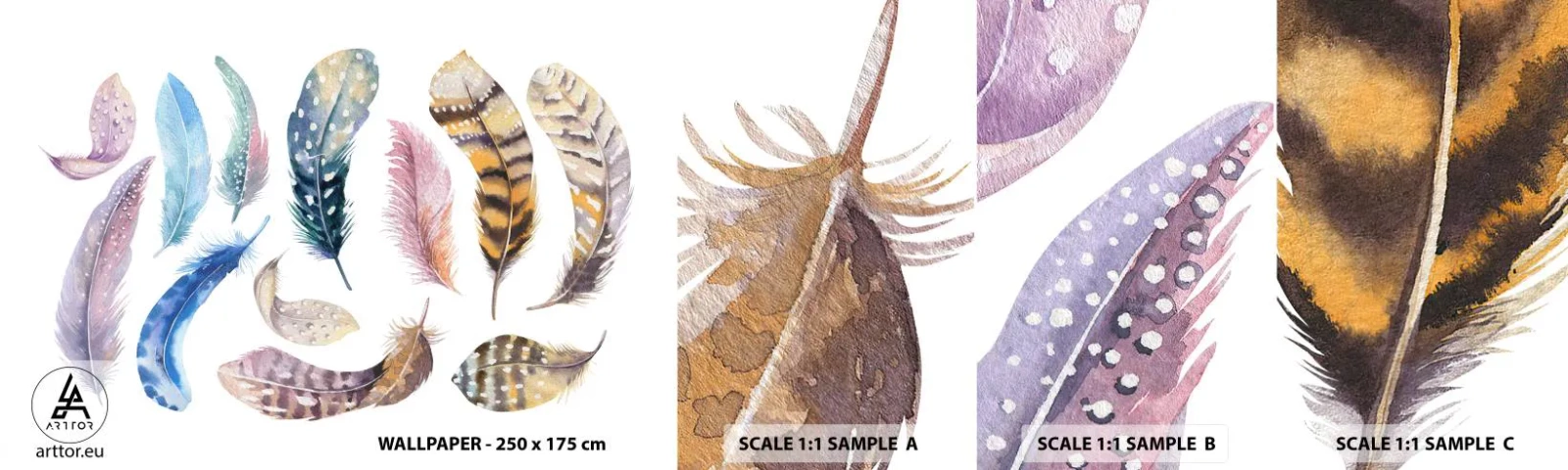 Campione di Fotomurale Adesivo Deluxe Sticker - Leggere, variopinte e multicolori - Piume di uccelli, Uccelli, Grafica - 100x30 cm