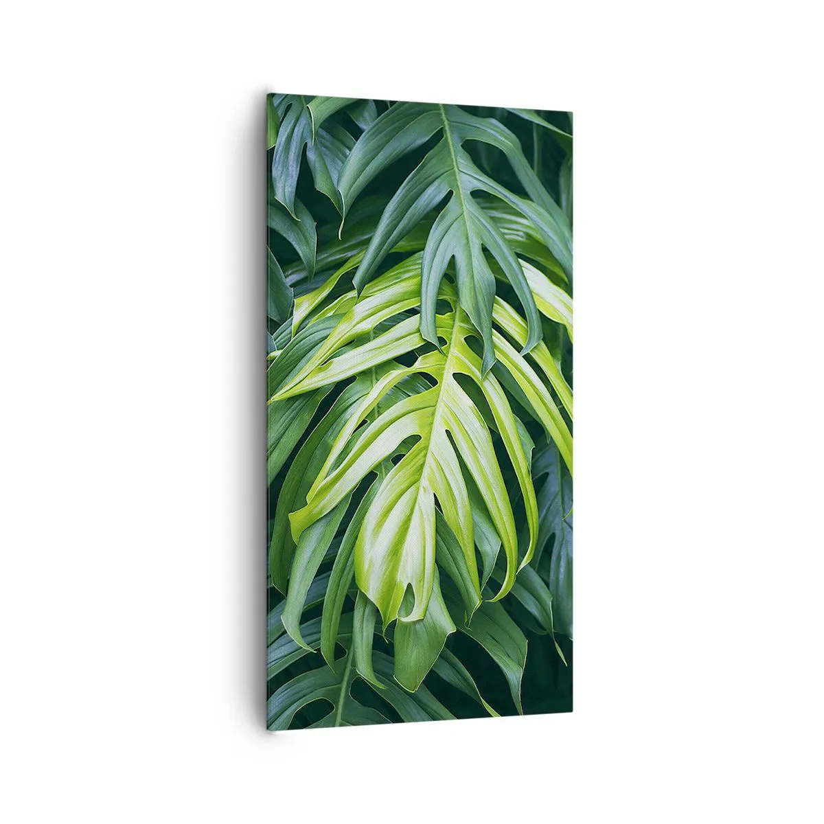 Quadro su tela - Stampe su Tela - Immergersi nella freschezza - 65x120 cm