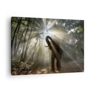 Quadro su tela - Stampe su Tela - Un elefante nella foresta circondato da raggi di luce nella nebbia mattutina - 70x50cm - Sotto una stella fortunata - Decorazione murale moderna per soggiorno e camera da letto ARTTOR