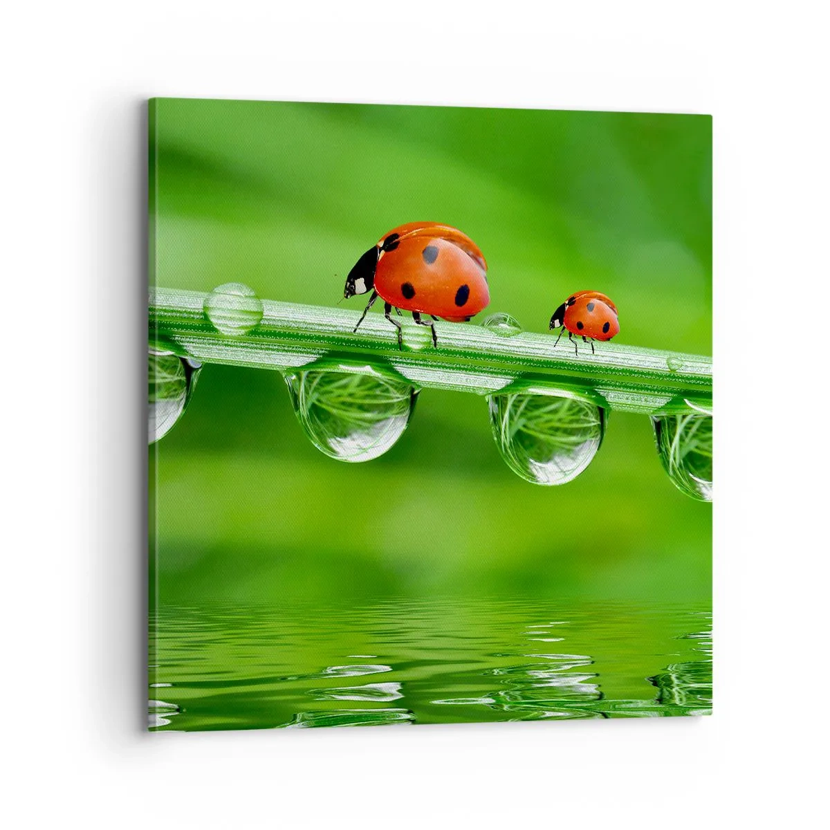 Quadro su tela - Stampe su Tela - In cammino per tutta l'estate - 70x70 cm