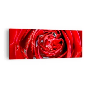 Quadro su tela - Stampe su Tela - Primo piano di una rosa rossa con gocce d'acqua sui petali - 140x50cm - Nelle gocce della rugiada - Decorazione murale moderna per soggiorno e camera da letto ARTTOR
