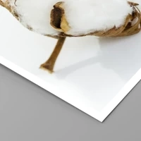 Senza cornice