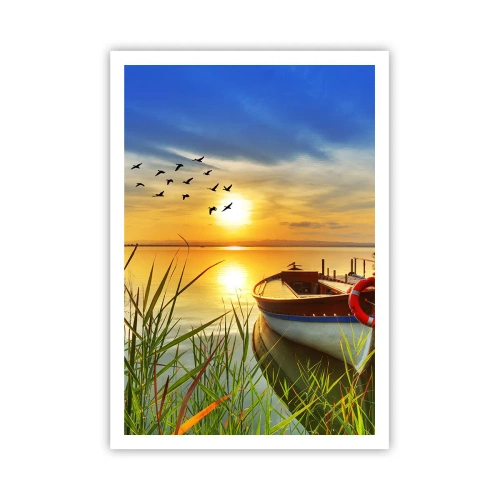 Poster - I cormorano volano già via - 70x100 cm