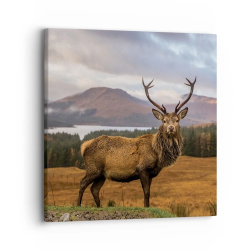 Quadro su tela - Stampe su Tela - Maestà della natura - 30x30 cm