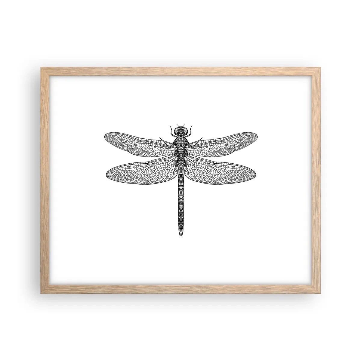 Poster in cornice rovere chiaro - La precisione della natura - 50x40 cm