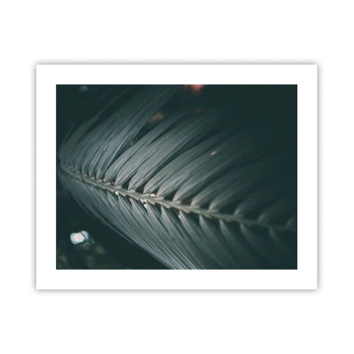 Poster - La precisione della natura - 50x40 cm