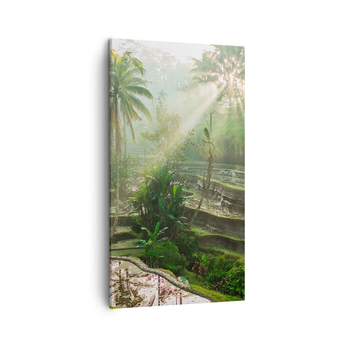 Quadro su tela - Stampe su Tela - Crescere al sole - 45x80 cm