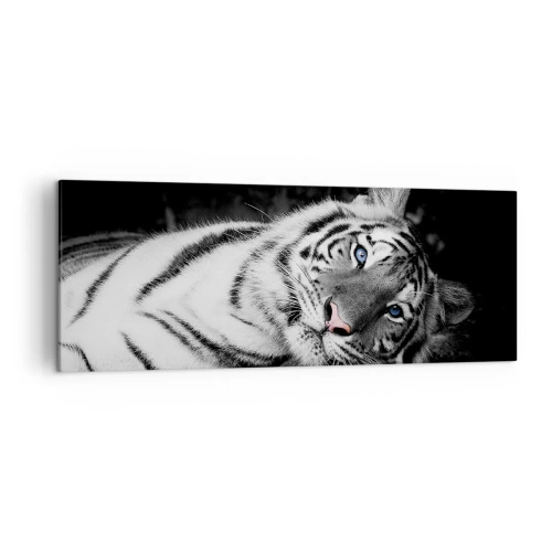 Quadro su tela - Stampe su Tela - Una tigre bianca artisticamente raffigurata su uno sfondo nero - 140x50cm - Selvaggità e pace - Decorazione murale moderna per soggiorno e camera da letto ARTTOR