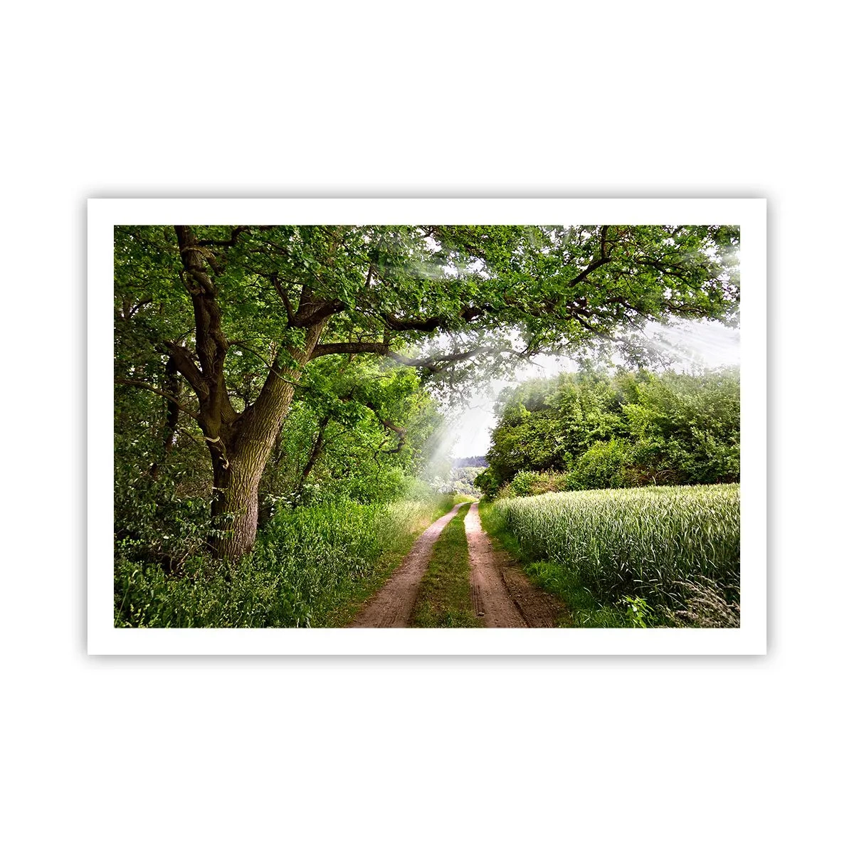 Poster - Et in Arcadia ego - 91x61 cm