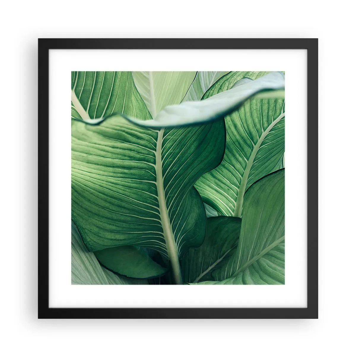 Poster in cornice nera - Una vita intensamente verde - 40x40 cm