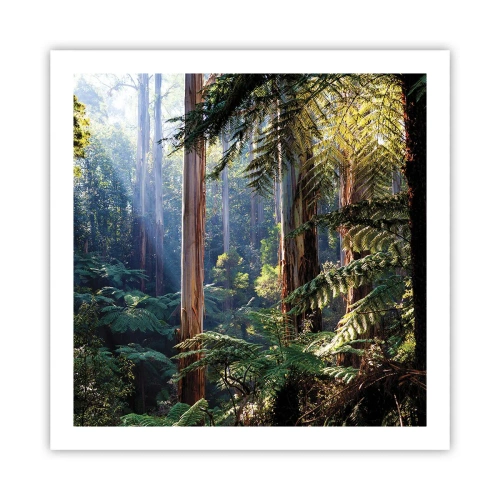 Poster - La favola del bosco - 60x60 cm